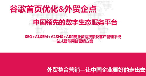 淄博外贸推广领先选择 淄博网泰科技助力企业全球市场拓展